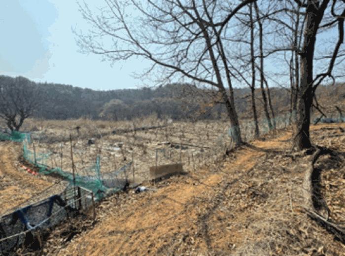 경기도 고양시 덕양구 주교동 495 답 경매 사진 3
