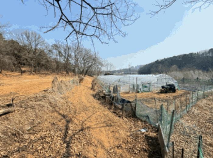 경기도 고양시 덕양구 주교동 495 답 경매 사진 5