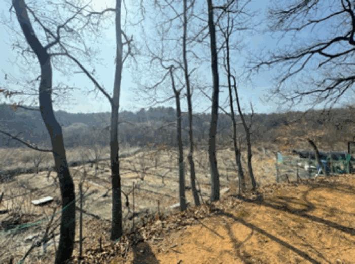 경기도 고양시 덕양구 주교동 495 답 경매 사진 8