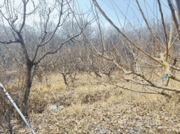 경기도 고양시 덕양구 주교동 495 답 경매 사진 9