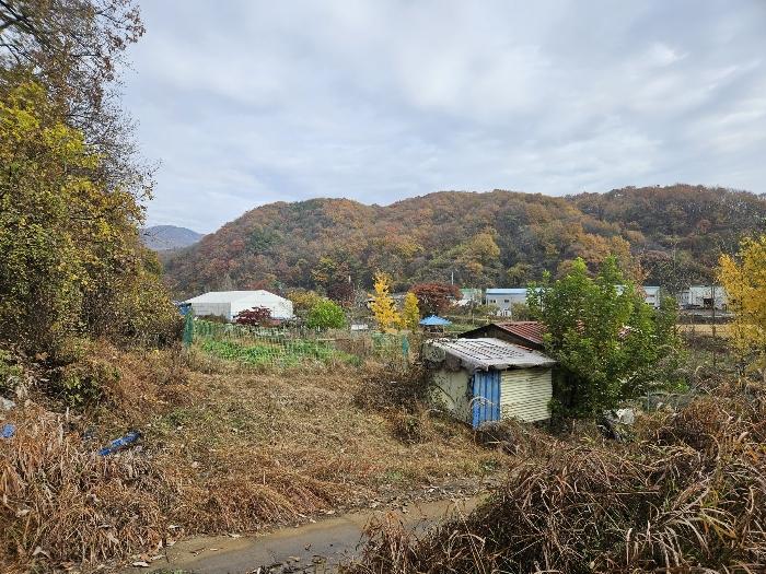 세종 전동면 전