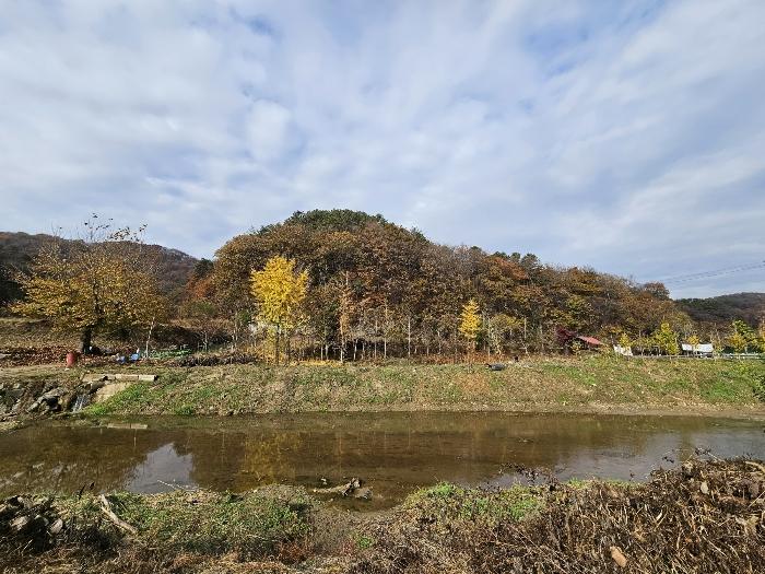 세종특별자치시 전동면 노장리 505 전 경매 사진 3