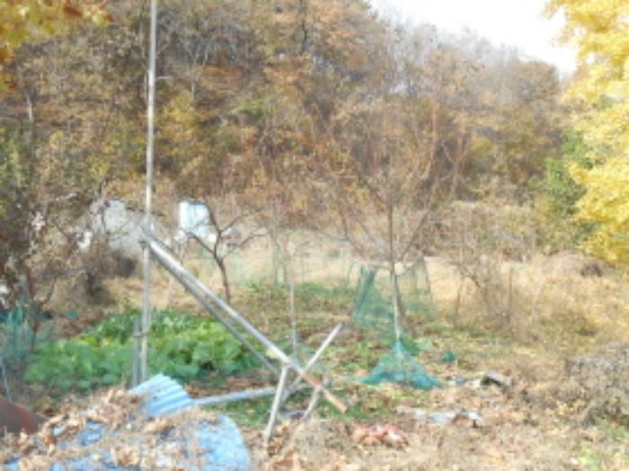 세종특별자치시 전동면 노장리 505 전 경매 사진 8