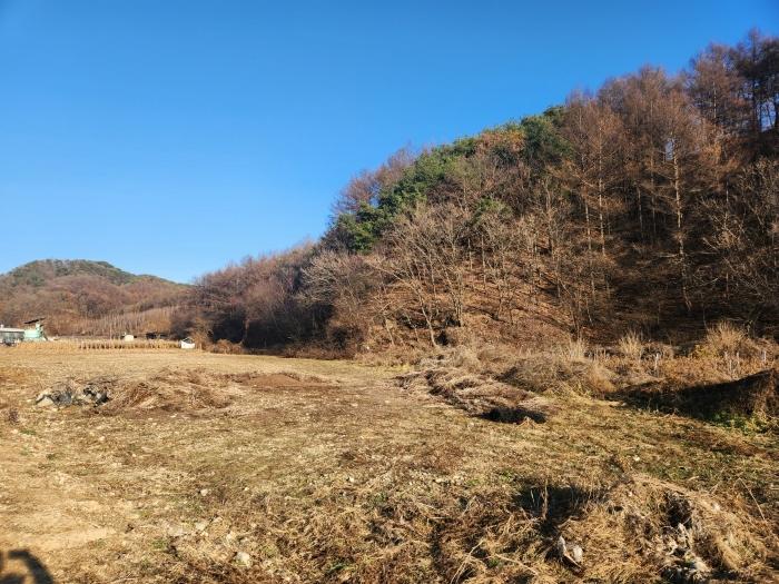 강원 춘천시 전
