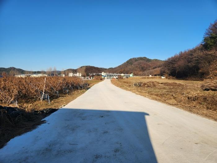 강원특별자치도 춘천시 남산면 광판리 534 전 경매 사진 4