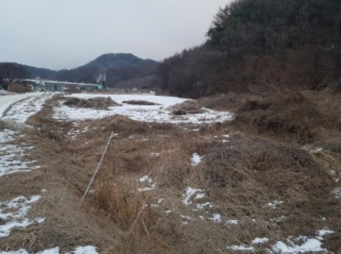 강원특별자치도 춘천시 남산면 광판리 534 전 경매 사진 5
