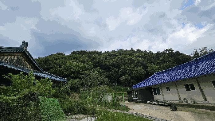 충청북도 괴산군 임야