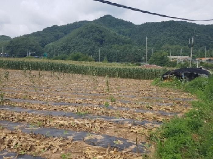 강원특별자치도 인제군 남면 어론리 825 답 경매 사진 11