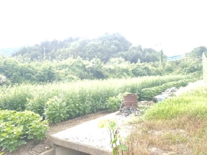 강원특별자치도 인제군 남면 어론리 825 답 경매 사진 12