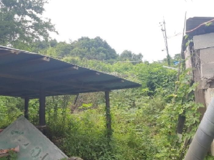 강원특별자치도 인제군 남면 어론리 825 답 경매 사진 14