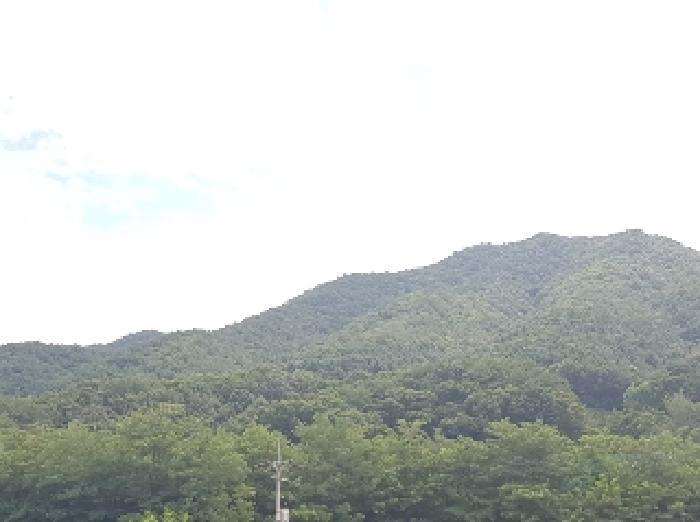 강원특별자치도 인제군 남면 어론리 825 답 경매 사진 17