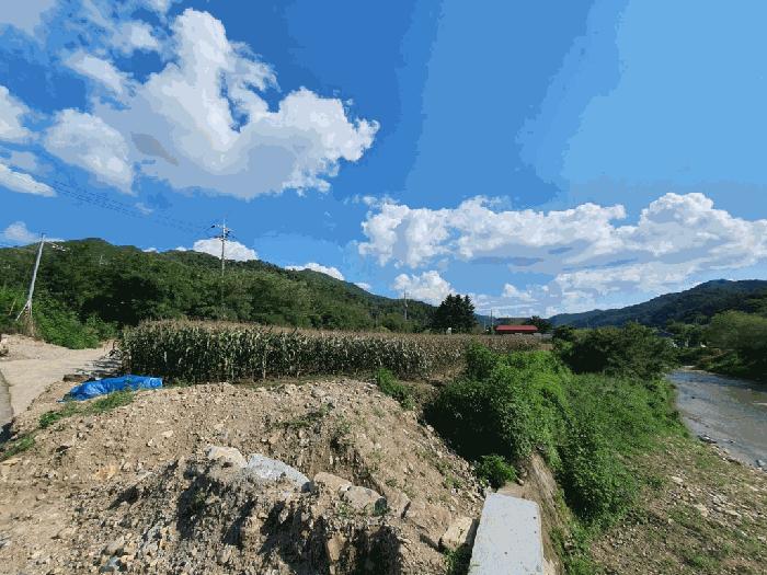 강원특별자치도 인제군 남면 어론리 825 답 경매 사진 6