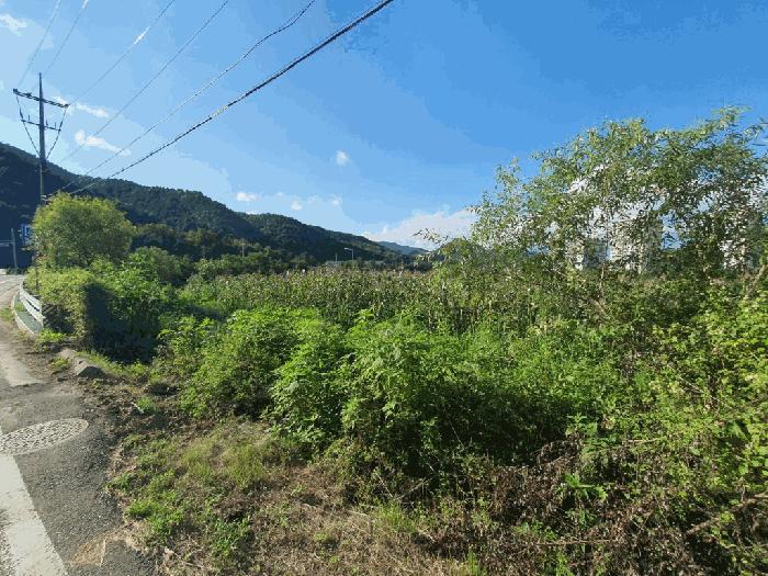 강원특별자치도 인제군 남면 어론리 산78-1 임야 경매 사진 1