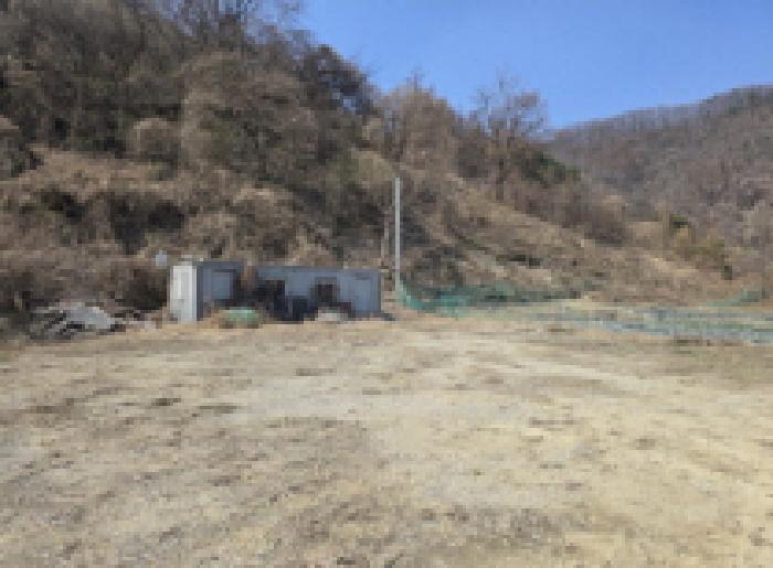 충청북도 충주시 동량면 지동리 937-2 전 경매 사진 11