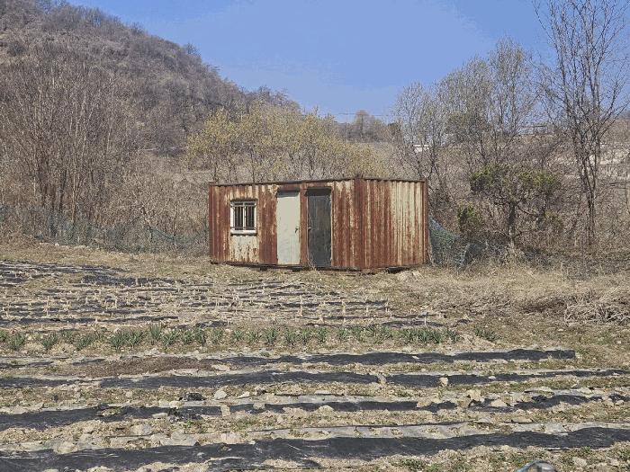 충청북도 충주시 동량면 지동리 937-2 전 경매 사진 2