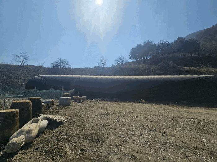 충청북도 충주시 동량면 지동리 937-2 전 경매 사진 5