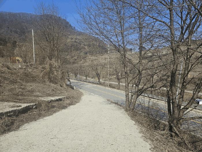충청북도 충주시 동량면 지동리 937-2 전 경매 사진 6