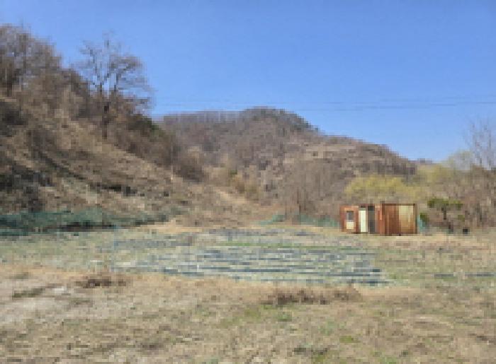 충청북도 충주시 동량면 지동리 937-2 전 경매 사진 8