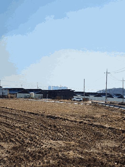 충청북도 음성군 대소면 수태리 184 축사(농가시설) 경매 사진 10