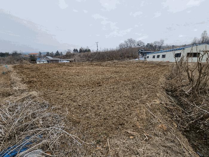 충청북도 충주시 엄정면 율능리 432 답 경매 사진 3