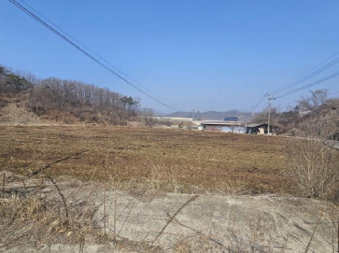 충청북도 충주시 엄정면 율능리 432 답 경매 사진 4