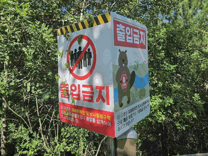강원특별자치도 화천군 화천읍 동촌리 2992 임야 경매 사진 5
