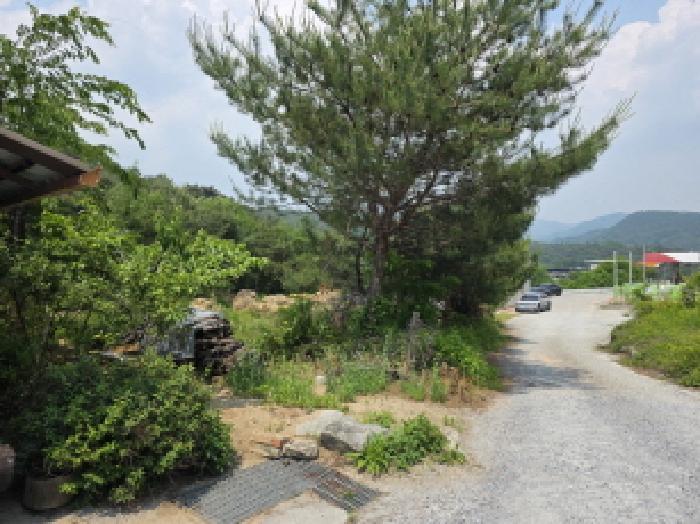 충청북도 제천시 백운면 원월리 293-13 주유소 경매 사진 14