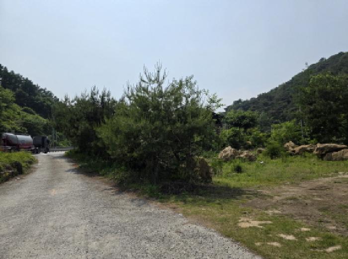 충청북도 제천시 백운면 원월리 293-13 주유소 경매 사진 18