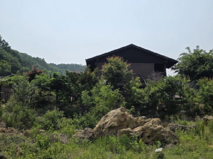 충청북도 제천시 백운면 원월리 293-13 주유소 경매 사진 6