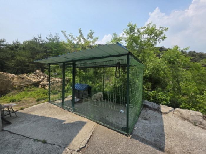 충청북도 제천시 백운면 원월리 293-13 주유소 경매 사진 9