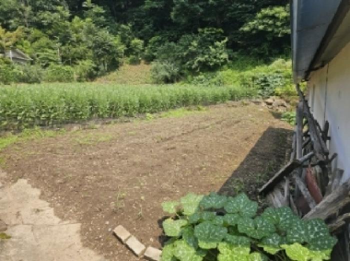 충청북도 단양군 적성면 상원곡리 43 전 경매 사진 10