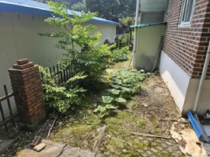 충청북도 단양군 적성면 상원곡리 43 전 경매 사진 12