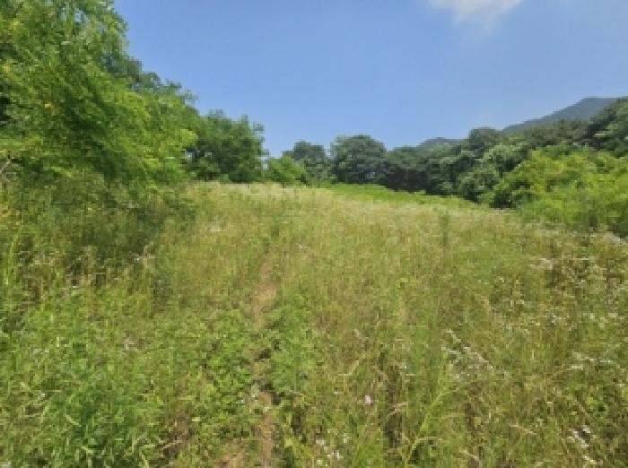 충청북도 단양군 적성면 상원곡리 43 전 경매 사진 16