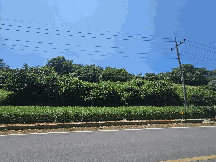 충청북도 단양군 적성면 상원곡리 43 전 경매 사진 2