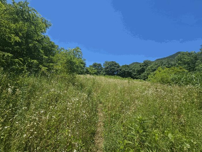 충청북도 단양군 적성면 상원곡리 43 전 경매 사진 3