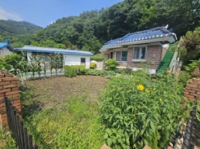 충청북도 단양군 적성면 상원곡리 43 전 경매 사진 8