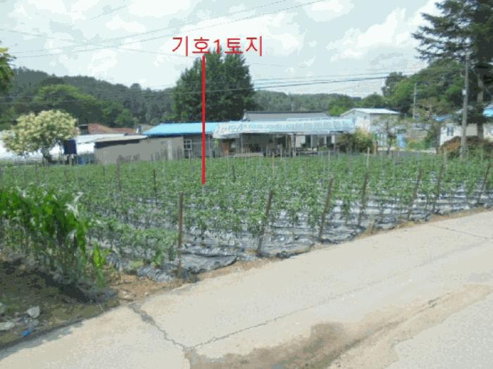 충청북도 제천시 백운면 평동리 368-2 전 경매 사진 1