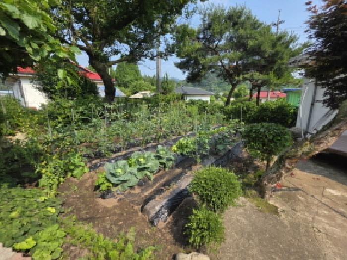 충청북도 제천시 백운면 평동리 368-2 전 경매 사진 17