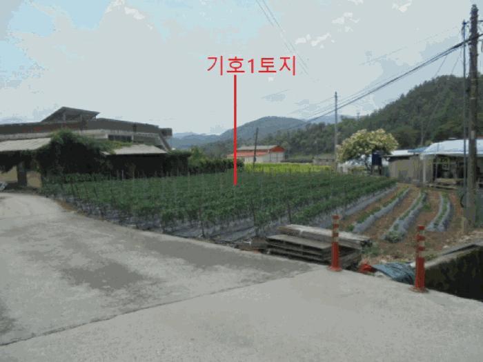 충청북도 제천시 백운면 평동리 368-2 전 경매 사진 8