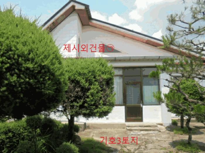 충청북도 제천시 백운면 평동리 367 대지 경매 사진 10