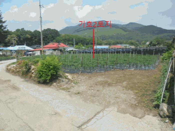 충청북도 제천시 백운면 평동리 367 대지 경매 사진 2