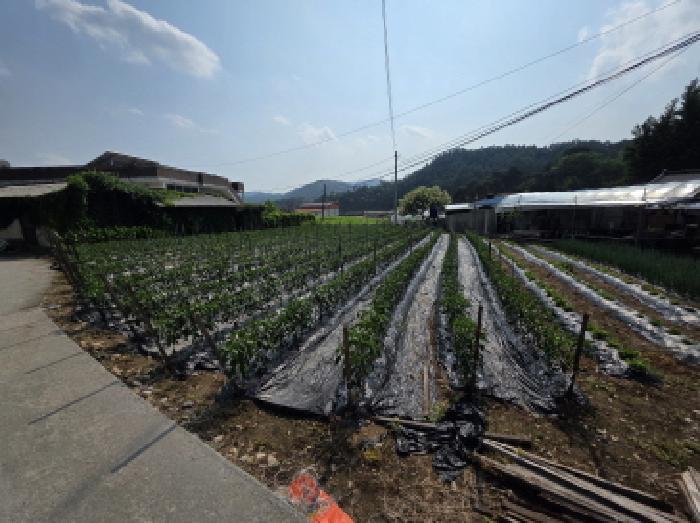 충청북도 제천시 백운면 평동리 367 대지 경매 사진 24