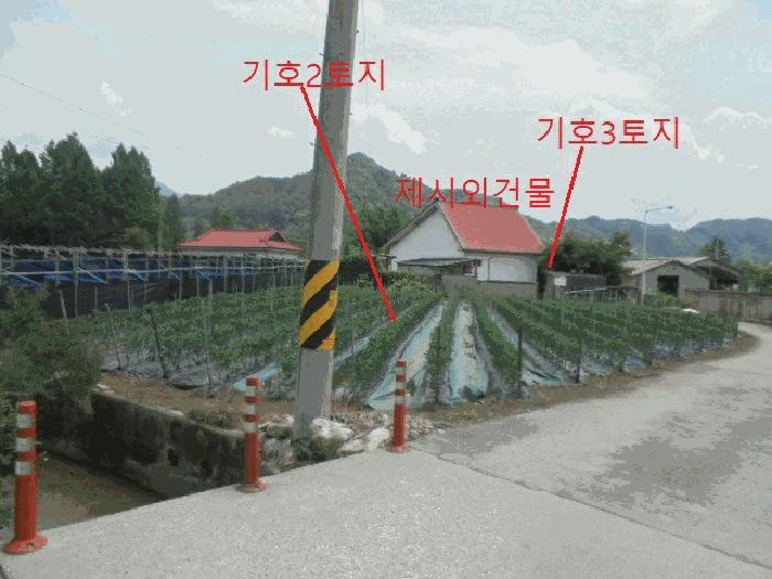 충청북도 제천시 백운면 평동리 367 대지 경매 사진 29