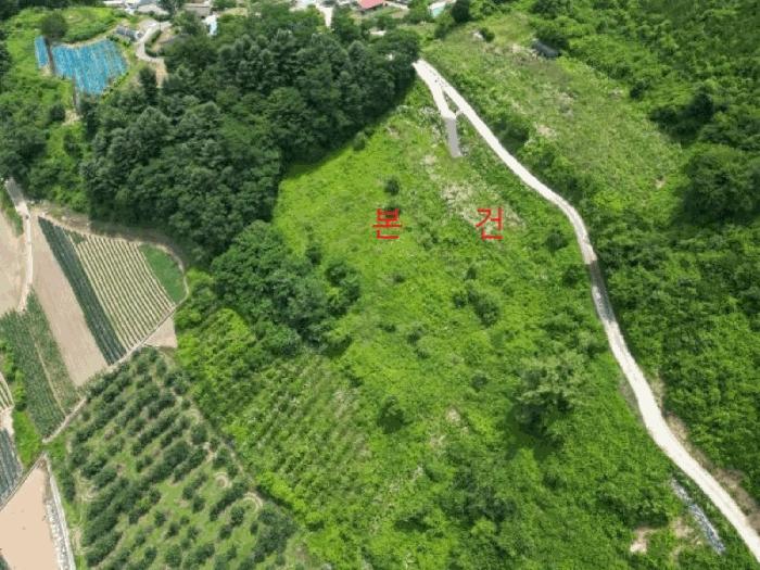 충청북도 단양군 대강면 덕촌리 113 전 경매 사진 2