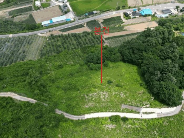 충청북도 단양군 대강면 덕촌리 113 전 경매 사진 3