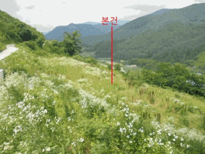 충청북도 단양군 대강면 덕촌리 113 전 경매 사진 6