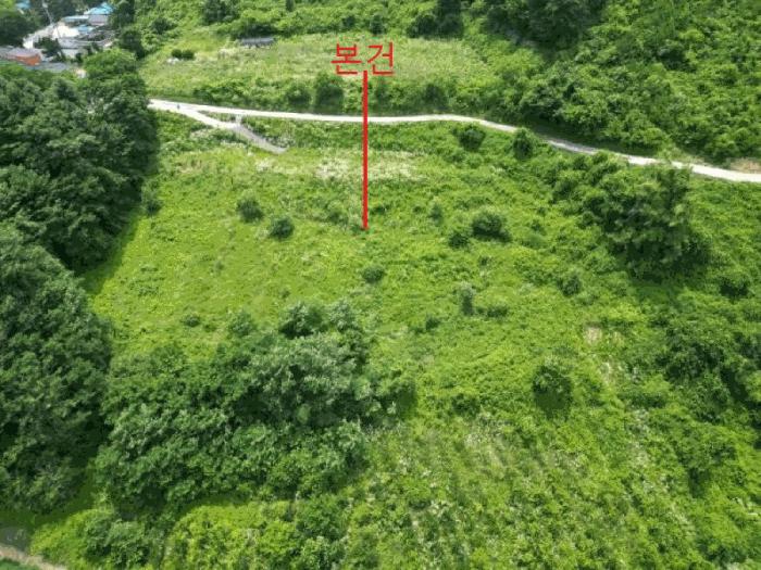 충청북도 단양군 대강면 덕촌리 113 전 경매 사진 7