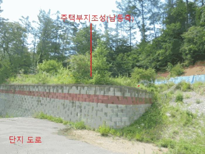 충청북도 제천시 임야