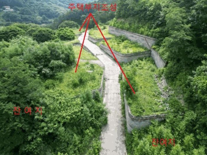 충청북도 제천시 백운면 덕동리 산22-4 임야 경매 사진 10