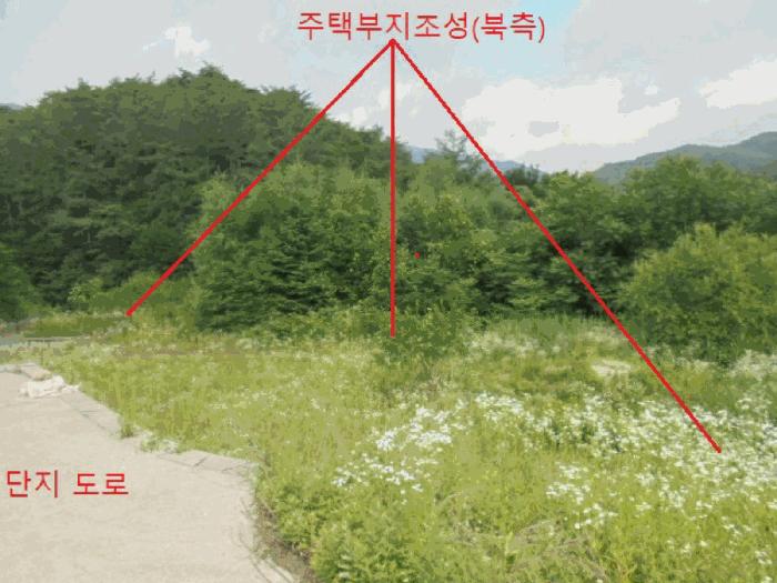 충청북도 제천시 백운면 덕동리 산22-4 임야 경매 사진 12